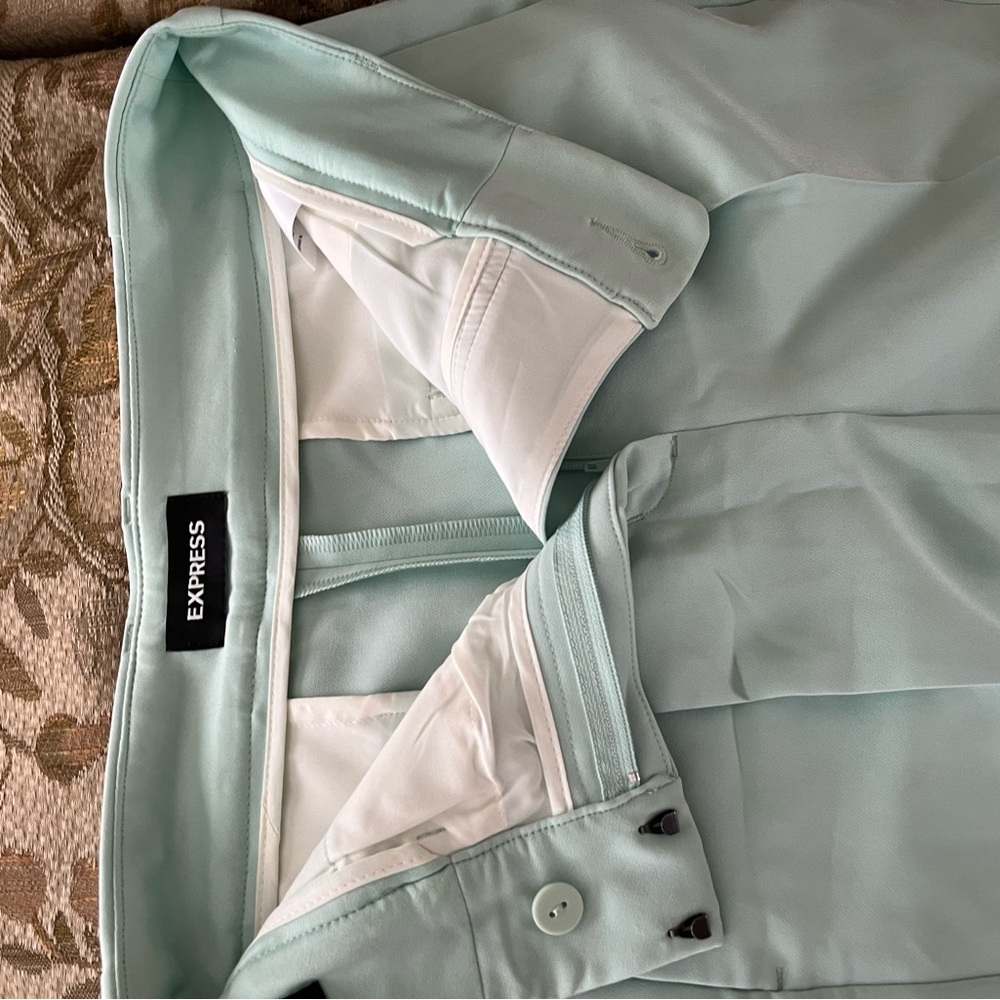 Express Mint Green Pants